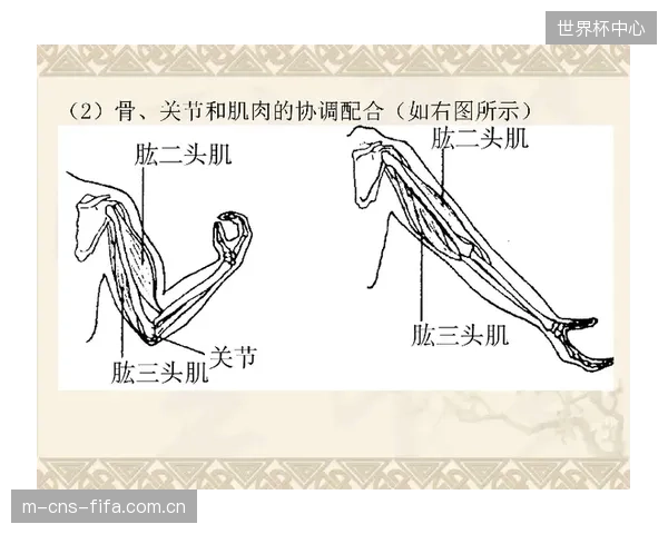为支撑多达12项生物特征的实时同步，新一代交互协议的数据吞-吐能力已突破1Gbps大关